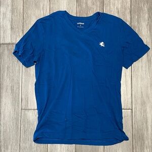 Express Men's Royal Blue V-Neck Tee